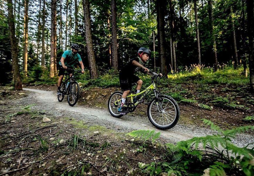 Велосипед горный (MTB) Kellys Kiter 30 24 Silver 2025 603259 фото