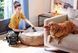 Пилосос Bissell Pet Pro Plus 37252 479285 фото 8