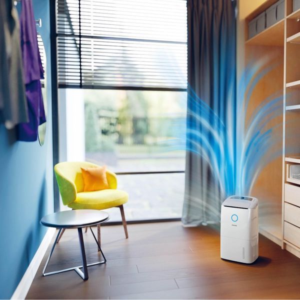 Осушитель воздуха Philips Seria 5000 DE5305/11 608711 фото