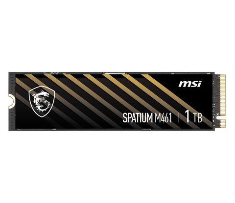 SSD накопитель MSI Spatium M461 1 TB (S78-440L1D0-P83) 465667 фото
